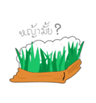 Mr.Lunchbox（個別スタンプ：36）