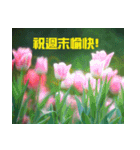 Tulip flower language（個別スタンプ：4）