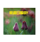 Tulip flower language（個別スタンプ：5）