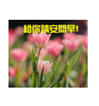 Tulip flower language（個別スタンプ：6）