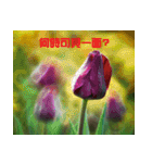 Tulip flower language（個別スタンプ：9）