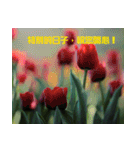 Tulip flower language（個別スタンプ：11）