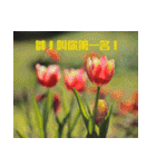 Tulip flower language（個別スタンプ：15）