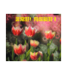 Tulip flower language（個別スタンプ：16）