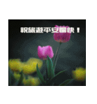 Tulip flower language（個別スタンプ：31）