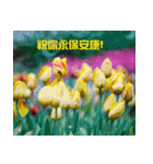 Tulip flower language（個別スタンプ：37）
