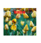 Tulip flower language（個別スタンプ：38）