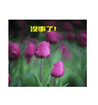 Tulip flower language（個別スタンプ：39）