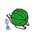 サボテリくん（個別スタンプ：23）