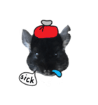 Wairaii The Chinchilla（個別スタンプ：1）