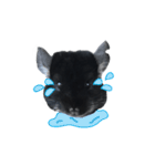 Wairaii The Chinchilla（個別スタンプ：6）