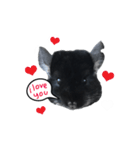 Wairaii The Chinchilla（個別スタンプ：10）