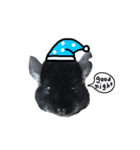 Wairaii The Chinchilla（個別スタンプ：18）
