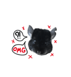 Wairaii The Chinchilla（個別スタンプ：21）