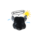 Wairaii The Chinchilla（個別スタンプ：22）