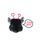 Wairaii The Chinchilla（個別スタンプ：23）
