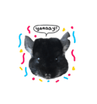 Wairaii The Chinchilla（個別スタンプ：28）