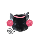 Wairaii The Chinchilla（個別スタンプ：29）