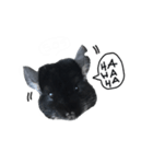 Wairaii The Chinchilla（個別スタンプ：30）