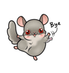 Siam Chinchilla（個別スタンプ：2）