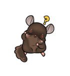 Siam Chinchilla（個別スタンプ：4）