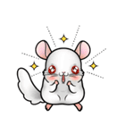 Siam Chinchilla（個別スタンプ：8）