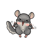 Siam Chinchilla（個別スタンプ：11）