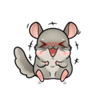 Siam Chinchilla（個別スタンプ：12）