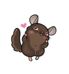 Siam Chinchilla（個別スタンプ：14）