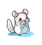 Siam Chinchilla（個別スタンプ：18）