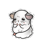 Siam Chinchilla（個別スタンプ：19）