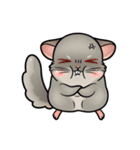 Siam Chinchilla（個別スタンプ：22）