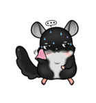 Siam Chinchilla（個別スタンプ：26）
