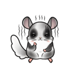 Siam Chinchilla（個別スタンプ：27）