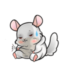 Siam Chinchilla（個別スタンプ：28）