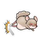 Siam Chinchilla（個別スタンプ：33）