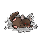 Siam Chinchilla（個別スタンプ：34）