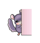 Siam Chinchilla（個別スタンプ：35）
