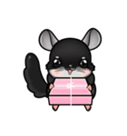 Siam Chinchilla（個別スタンプ：36）