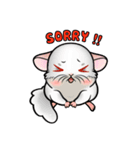 Siam Chinchilla（個別スタンプ：38）