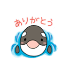 しゃちくん（その2）（個別スタンプ：4）