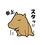 カピンチョ（個別スタンプ：1）