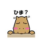 カピンチョ（個別スタンプ：7）