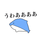 奇妙なイルカ（個別スタンプ：1）