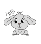 Zoo Pals（個別スタンプ：24）