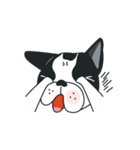 WTFF ！ What The French Friend！（個別スタンプ：6）