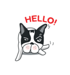 WTFF ！ What The French Friend！（個別スタンプ：8）
