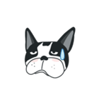 WTFF ！ What The French Friend！（個別スタンプ：12）