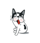 WTFF ！ What The French Friend！（個別スタンプ：13）