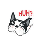WTFF ！ What The French Friend！（個別スタンプ：20）